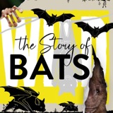 What A Bat Sees