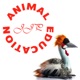 Animal Education Podcast