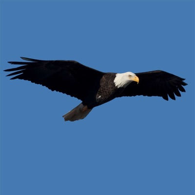 "Soaring In Health & Wellness" "Soaring In Health & Wellness"