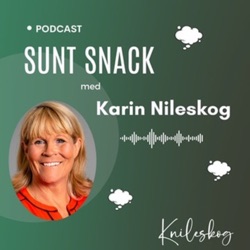 SUNT SNACK med Karin Nileskog