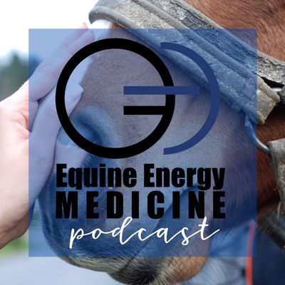 Equine Energy Medicine:Audrey Mclaughlin