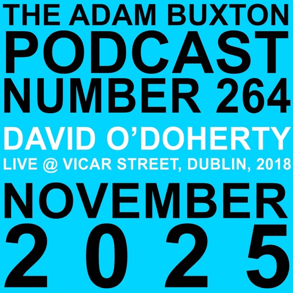 EP.264 - DAVID O'DOHERTY (LIVE) photo