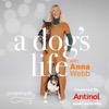 A Dog's Life with Anna Webb
