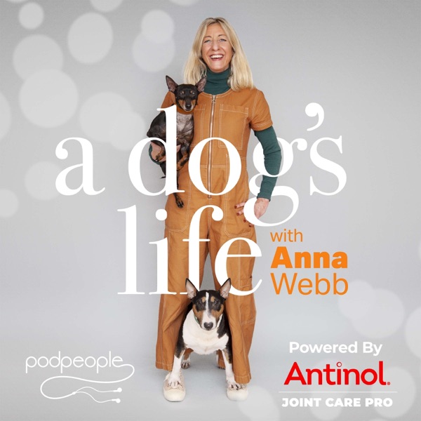 A Dog's Life with Anna Webb Image