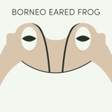 Borneo Eared Frog | Week of May 29th