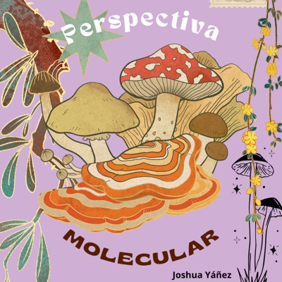 Perspectiva molecular | Joshua Yañez