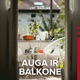 Auga ir balkone