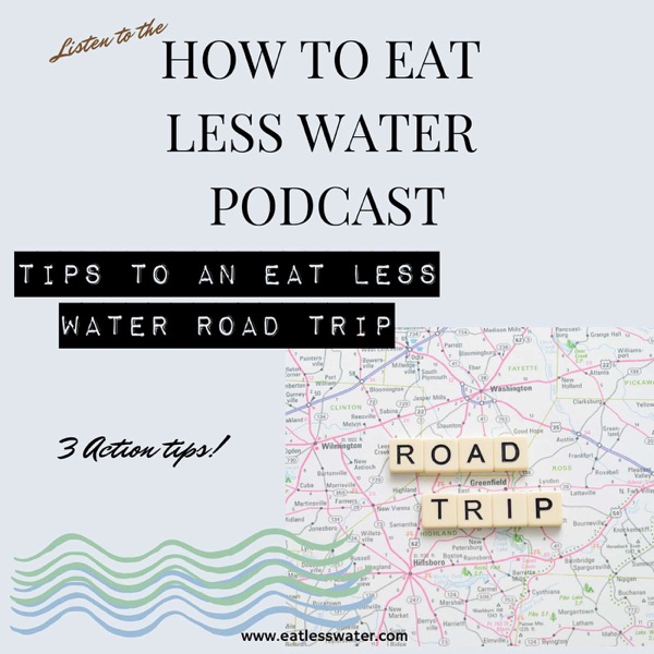 3 WAYS TO EAT LESS WATER SURING YOUR NEXT ROAD TRIP photo