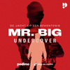 Mr. Big - Dag en Nacht Media
