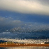 Make Your Cloud-watching More Like Bird-watching
