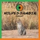 Wildes Sambia