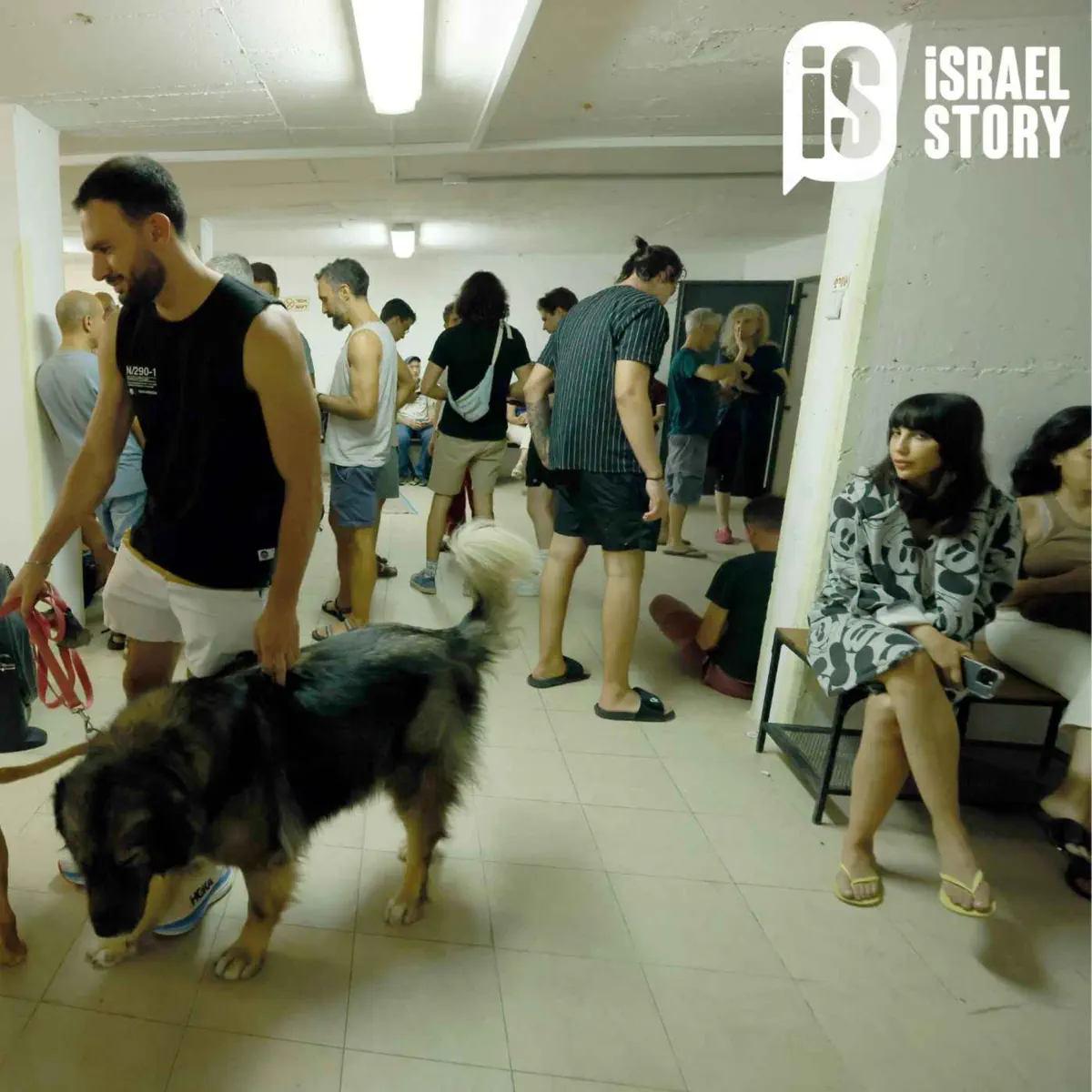 Wizards and warriors 2 #ironsword #nes #nintendogames #fypシ #retrogaming  #retrogamingontiktok #8bit #videogame, image size:1200x1200