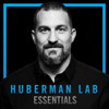 Essentials: Understanding & Treating Addiction | Dr. Anna Lembke