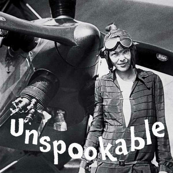 The Disappearance of Amelia Earhart photo