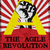 The Agile Revolution - The Agile Revolution