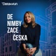 DeNIMBYzace