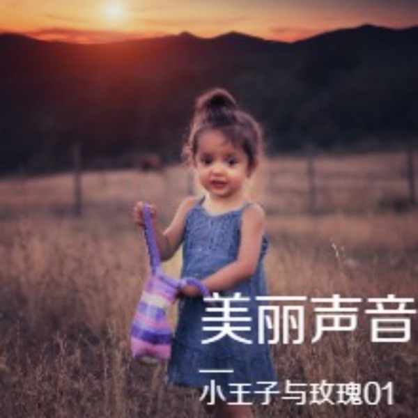美丽声音