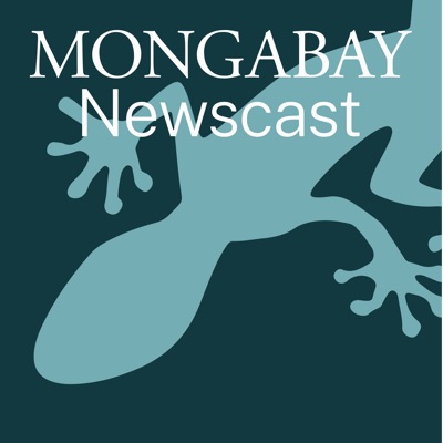 Mongabay Newscast Mongabay Newscast