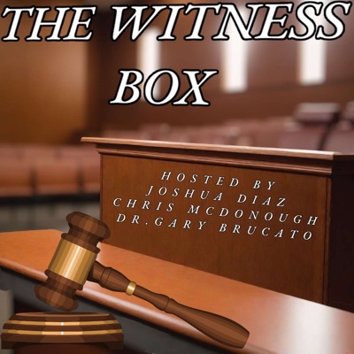 THE WITNESS BOX:The Witness Box