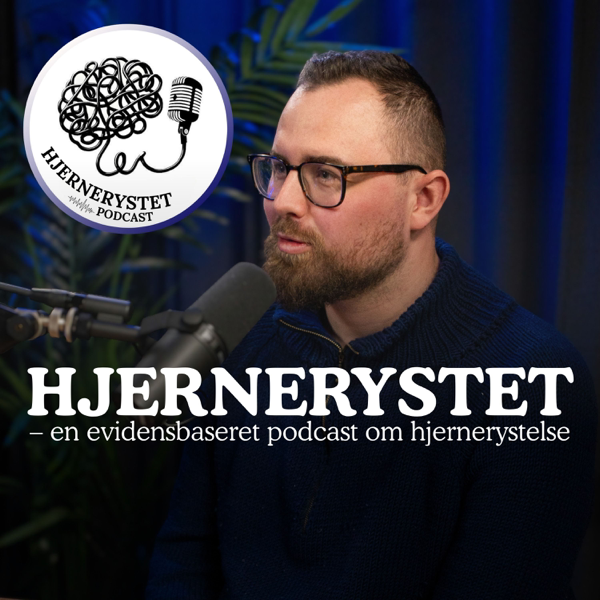 Hjernerystet af Morten Carl, Hjernerystelsesfyssen
