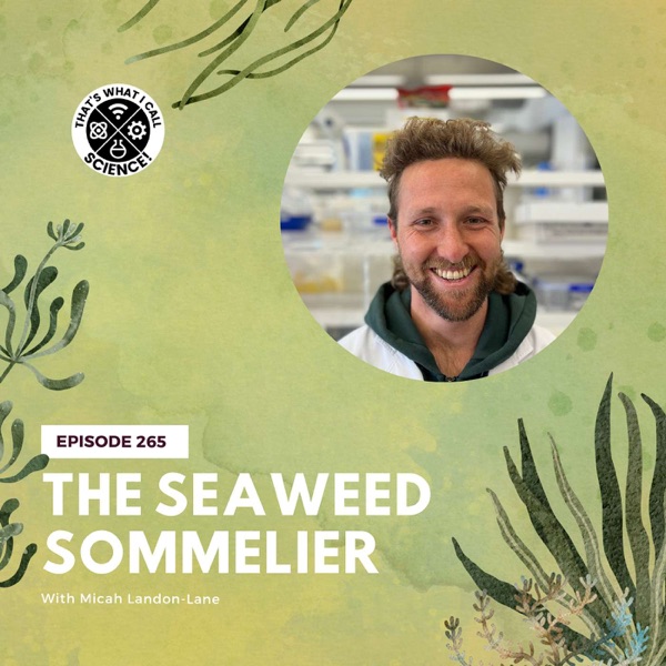 Episode 265: The Seaweed Sommelier photo