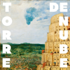 Torre de nube - Carolina Sanín