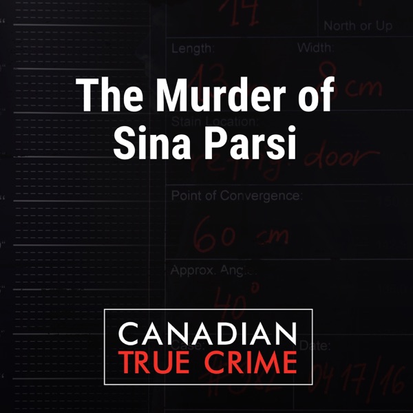 The Murder of Sina Parsi