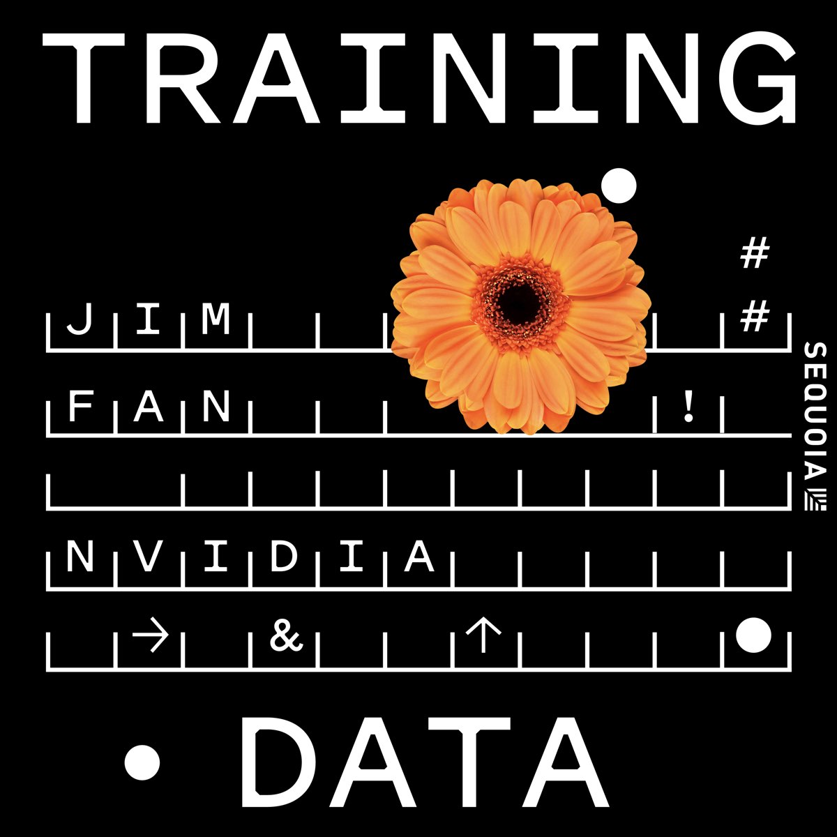 Jim Fan on Nvidia’s Embodied A ‑ Training Data ‑ Apple Podcasts