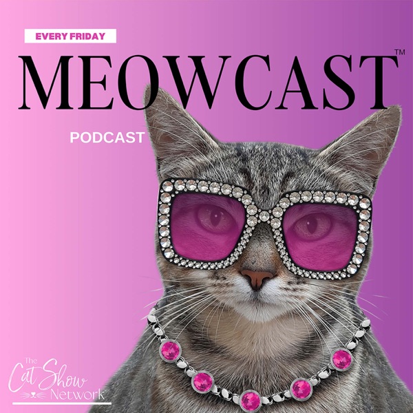 MEOWCAST