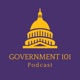 Government 101