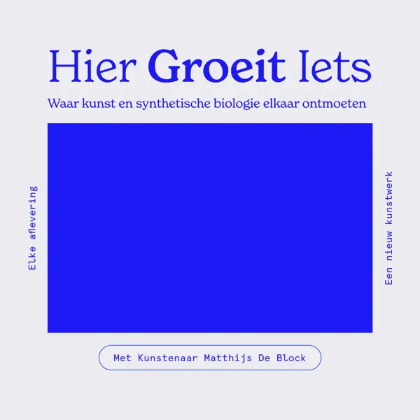 Hier groeit iets