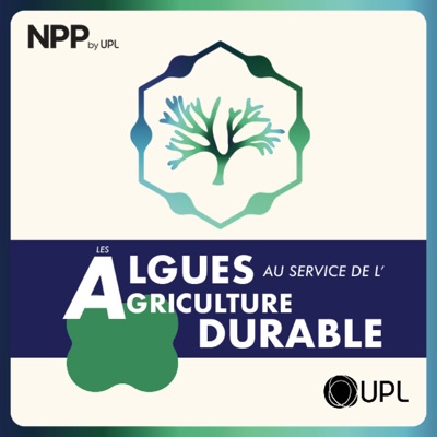 Les algues au service de l'agriculture durable