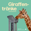Giraffentränke - David Scherler new Single