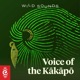 Wild Sounds: Voice of the Kākāpō