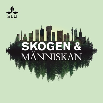 Skogen & Människan