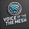 Voice of the Mesh - Voice of the Mesh