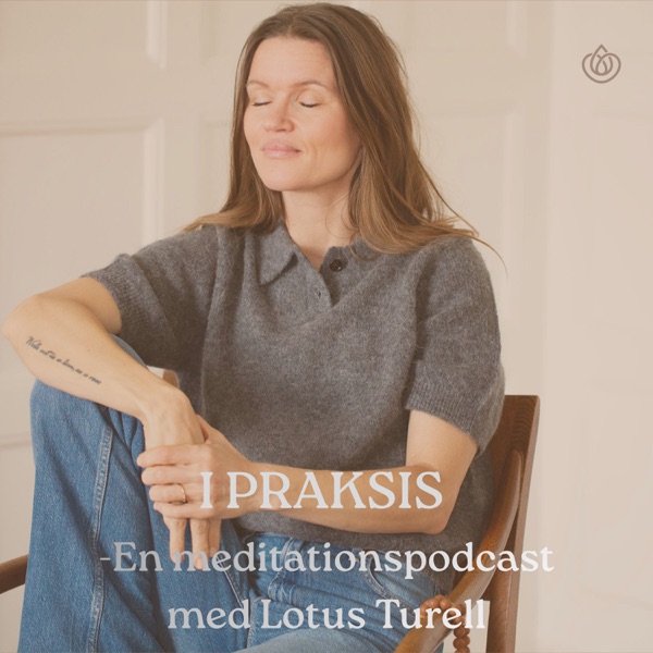 Episode 1; Dit afsæt for meditation - I Praksis Podcast