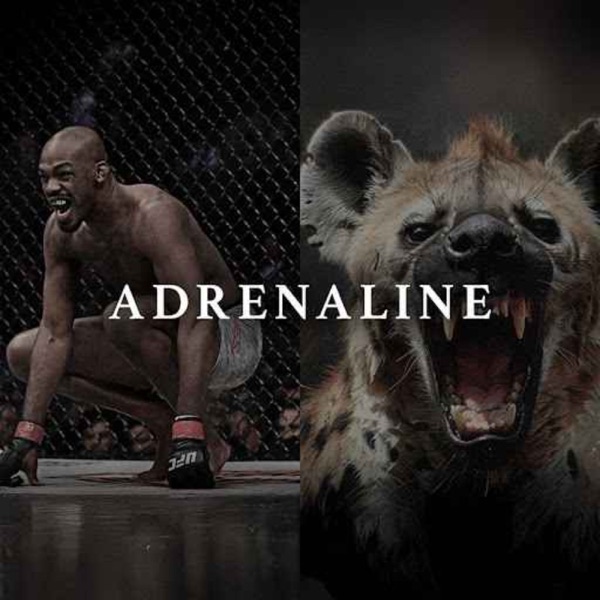 ADRENALINE - Powerful Motivational Speeches