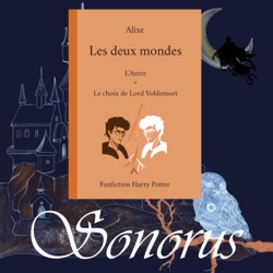 Le choix de Lord Voldemort - Chap. 8 - Discussion au claire de lune