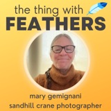 63: The Wonder of Sandhill Cranes (Mary Gemignani)