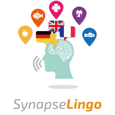 SynapseLingo Learn Catalan