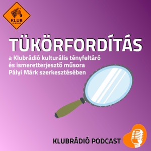 Tükörfordítás