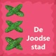 Bestaat er zoiets als ‘Joodse kunst’? (met Judith Hoekstra en Hertog Nadler)