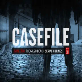 Case 354: The Gilgo Beach Serial Killings (Part 2/2) artwork