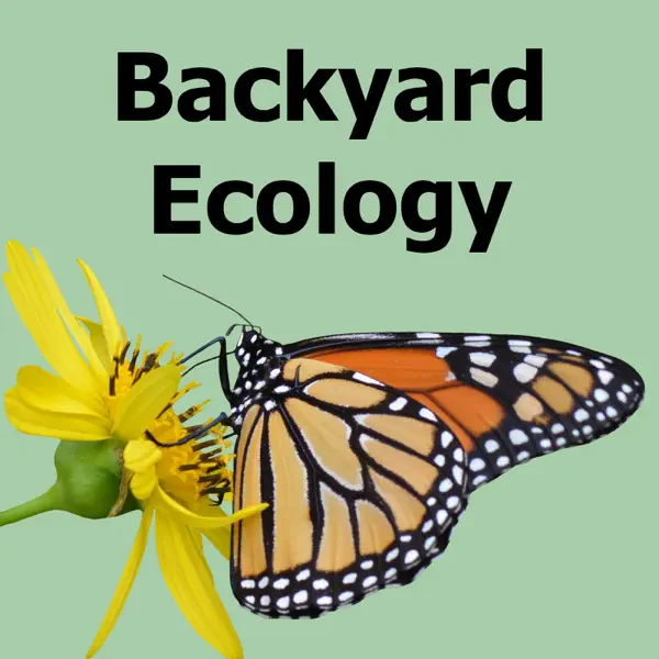 Backyard Ecology™