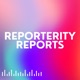 Reporterity Repors