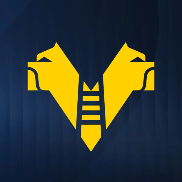 Hellas Verona Channel