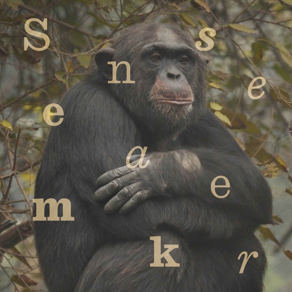 Why is there controversy surrounding India’s mega zoo? photo