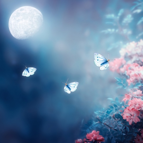 Night Bloom ~ Deep Sleep Music & Restorative Nature Sounds