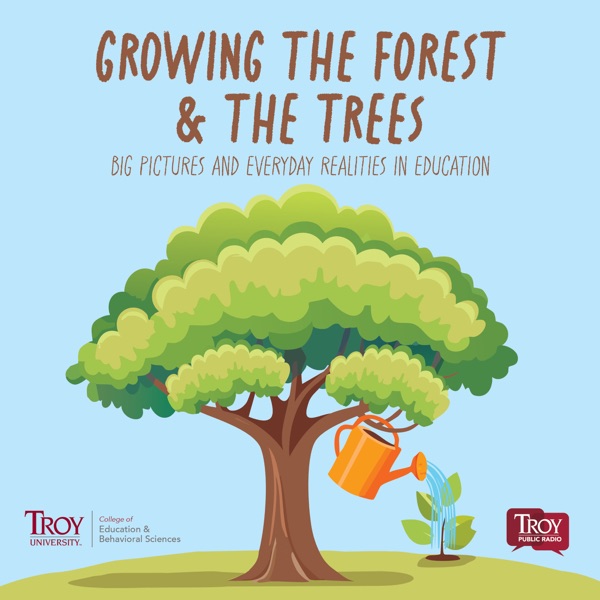 Growing the Forest & the Trees: Big Pictures and Everyday Realities in Education Image